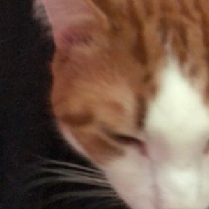 Meet your Posher, Ker